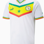 senegal-1-1.png